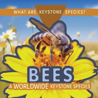 Kathleen A. Klatte - Bees: A Worldwide Keystone Species, Häftad. Tillgänglighet: Lägg i varukorg
