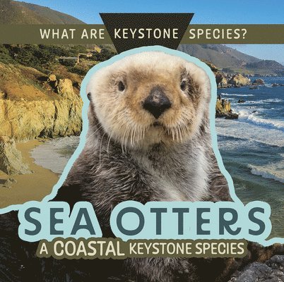 Kathleen A. Klatte - Sea Otters: A Coastal Keystone Species, Häftad. Tillgänglighet: Lägg i varukorg