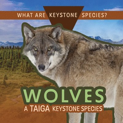 Kathleen A. Klatte - Wolves: A Taiga Keystone Species, Häftad. Tillgänglighet: Lägg i varukorg