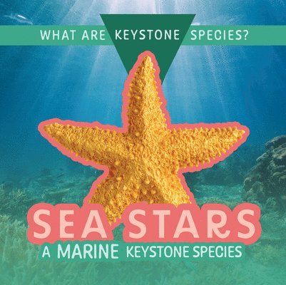 Kathleen A. Klatte - Sea Stars: A Marine Keystone Species, Häftad. Tillgänglighet: Lägg i varukorg