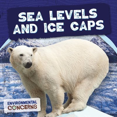 E. C. Andrews - Sea Levels and Ice Caps, Häftad