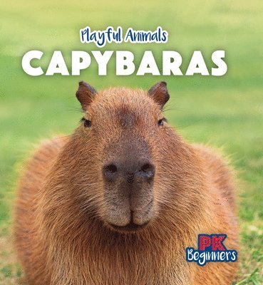 Ursula Pang - Capybaras, Häftad. Tillgänglighet: Lägg i varukorg
