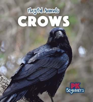 Ursula Pang - Crows, Häftad. Tillgänglighet: Lägg i varukorg