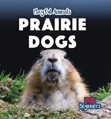 Ursula Pang - Prairie Dogs, Inbunden. Tillgänglighet: Lägg i varukorg
