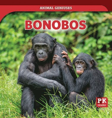 Theresa Emminizer - Bonobos, Häftad. Tillgänglighet: Lägg i varukorg