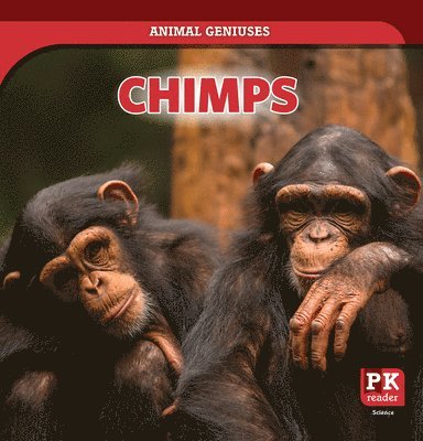 Theresa Emminizer - Chimps, Häftad. Tillgänglighet: Lägg i varukorg