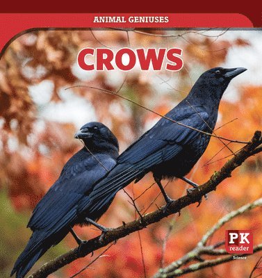 Theresa Emminizer - Crows, Häftad. Tillgänglighet: Lägg i varukorg