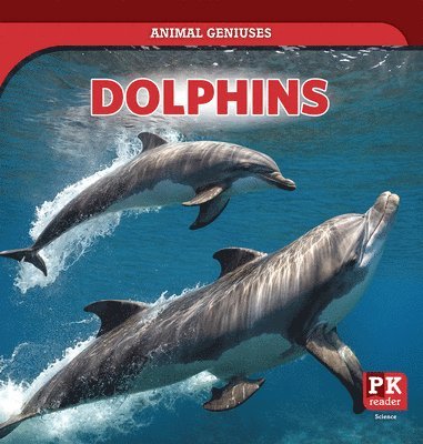 Theresa Emminizer - Dolphins, Häftad. Tillgänglighet: Lägg i varukorg