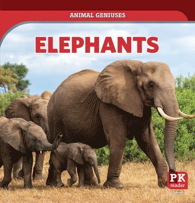 Theresa Emminizer - Elephants, Häftad. Tillgänglighet: Lägg i varukorg