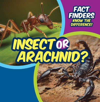 Ezra E. Knopp - Insect or Arachnid?, Häftad