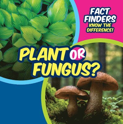 Ezra E. Knopp - Plant or Fungus?, Inbunden