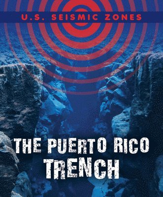 Danielle Haynes - The Puerto Rico Trench, Häftad