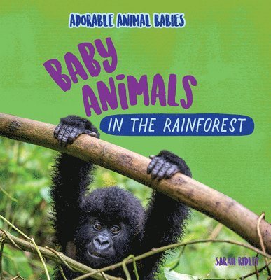 Sarah Ridley - Baby Animals in the Rainforest, Häftad. Tillgänglighet: Lägg i varukorg