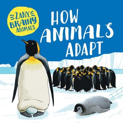Ashley Ward - How Animals Adapt, Häftad