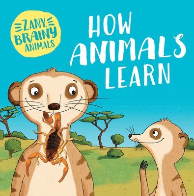 Ashley Ward - How Animals Learn, Häftad