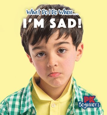 Danielle Haynes - I'm Sad!, Häftad