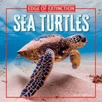 Tricia Hoffman - Sea Turtles, Häftad. Tillgänglighet: Kommande