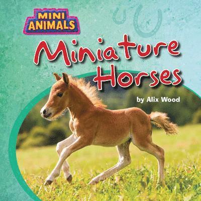 Miniature Horses