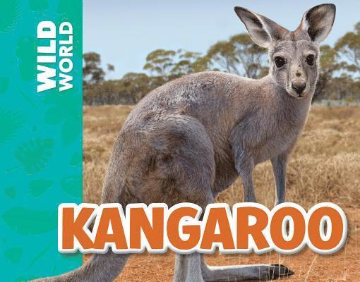 Meredith Costain - Kangaroo, Häftad