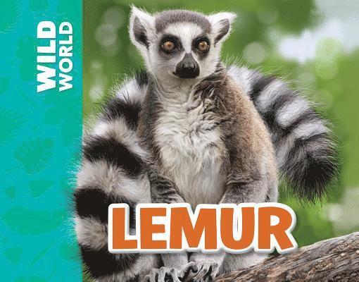 Meredith Costain - Lemur, Inbunden