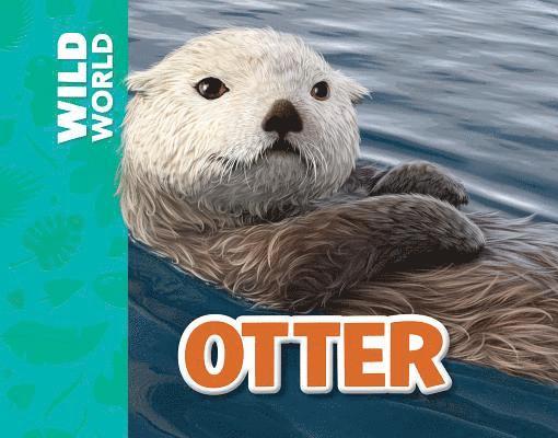 Meredith Costain - Otter, Häftad. Tillgänglighet: Tillfälligt slut