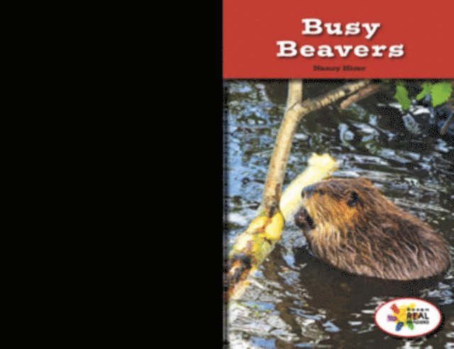 Nancy Hicer - Busy Beavers, E-bok