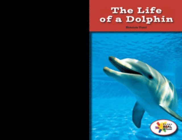 Branca Tani - Life of a Dolphin, E-bok