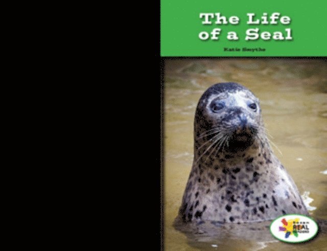 Katie Smythe - Life of a Seal, E-bok