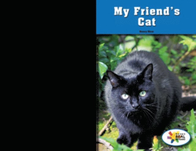 Nancy Hicer - My Friend's Cat, E-bok