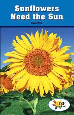 Branca Tani - Sunflowers Need the Sun, Häftad