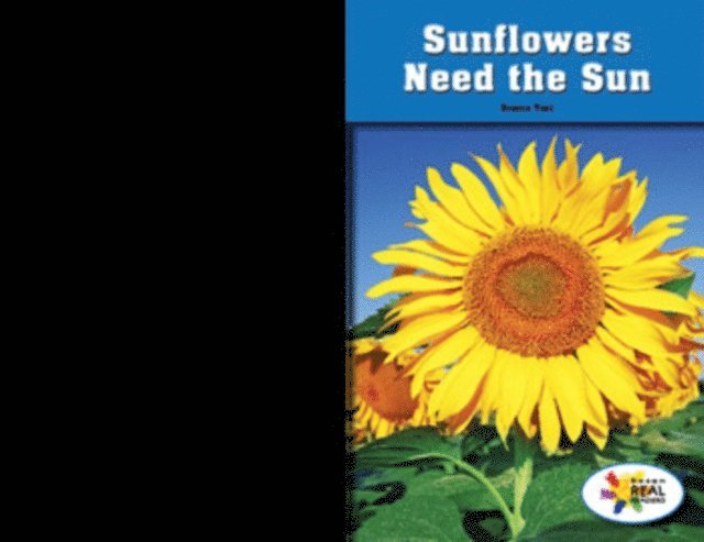 Branca Tani - Sunflowers Need the Sun, E-bok