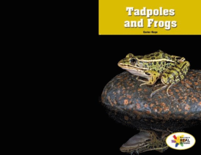 Carter Hayn - Tadpoles and Frogs, E-bok