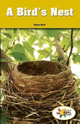 Nancy Hicer - A Bird's Nest, Häftad