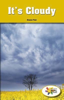 Branca Tani - It's Cloudy, Häftad
