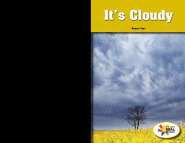 Branca Tani - It's Cloudy, E-bok