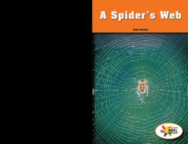 Katie Smythe - Spider's Web, E-bok