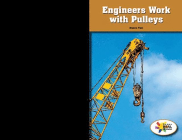 Branca Tani - Engineers Work With Pulleys, E-bok