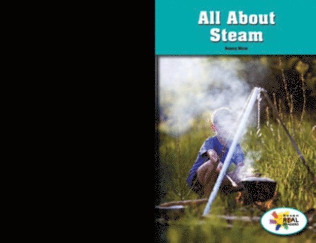 Nancy Hicer - All About Steam, E-bok