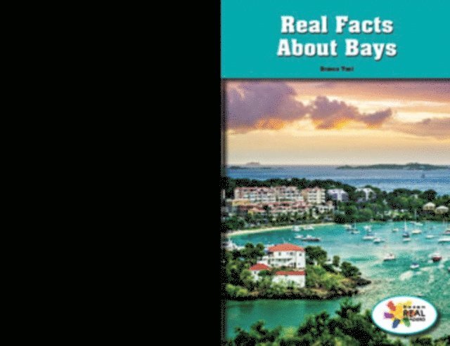 Branca Tani - Real Facts About Bays, E-bok