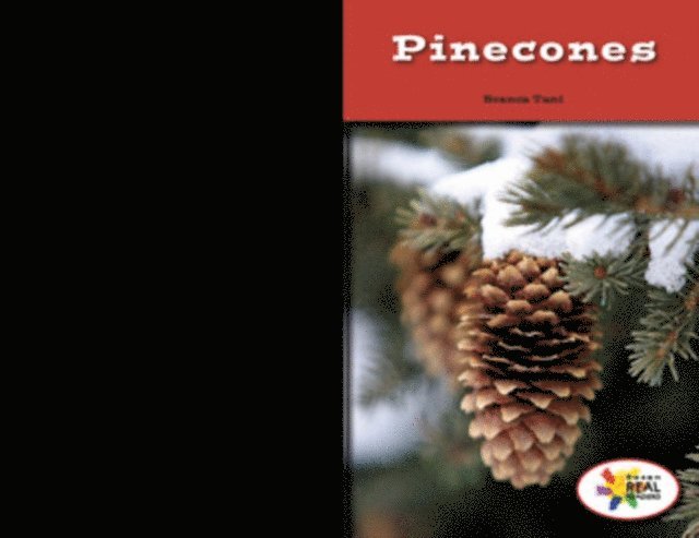 Branca Tani - Pinecones, E-bok