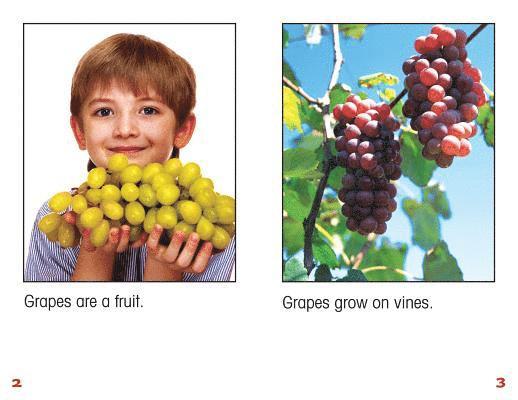 Denzel T. Carter - All about Grapes, Häftad
