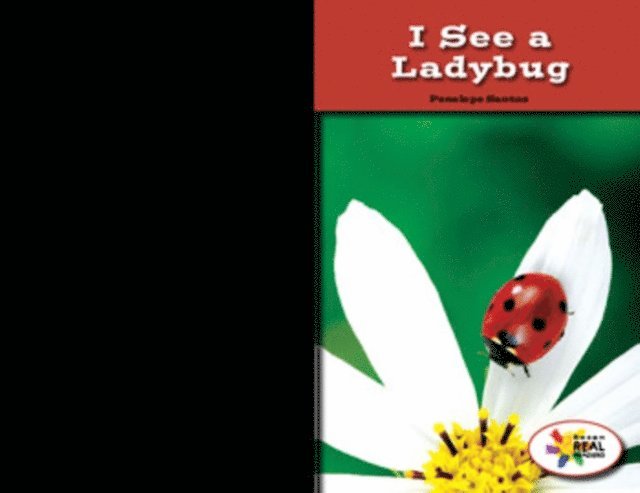 Penelope Santos - I See a Ladybug, E-bok