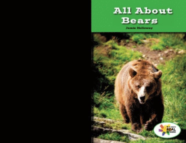 Jamie Holloway - All About Bears, E-bok