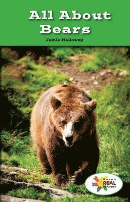 Jamie Holloway - All about Bears, Häftad