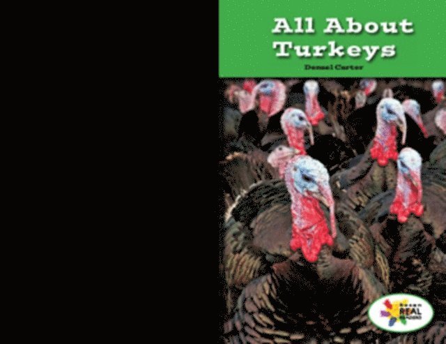 Denzel T. Carter - All About Turkeys, E-bok