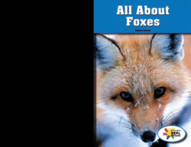 Denzel T. Carter - All About Foxes, E-bok