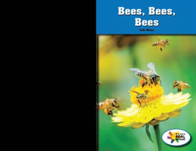 CeCe Wilson - Bees, Bees, Bees, E-bok