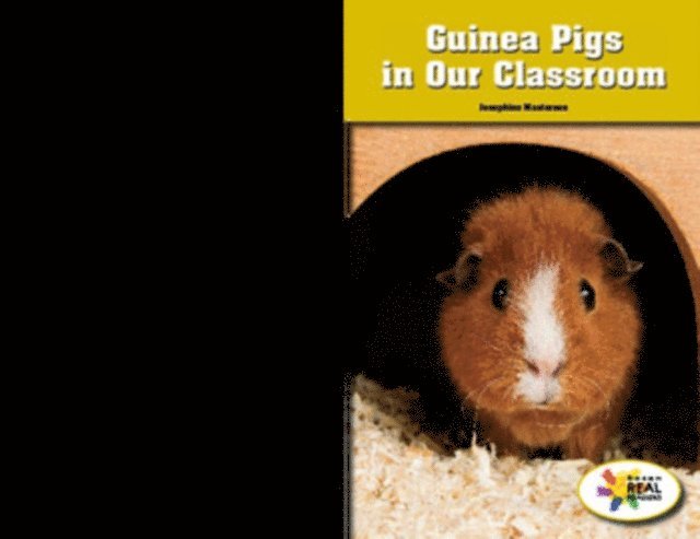 Josephine Masterson - Guinea Pigs in Our Classroom, E-bok