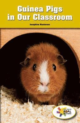 Josephine Masterson - Guinea Pigs in Our Classroom, Häftad. Tillgänglighet: Lägg i varukorg