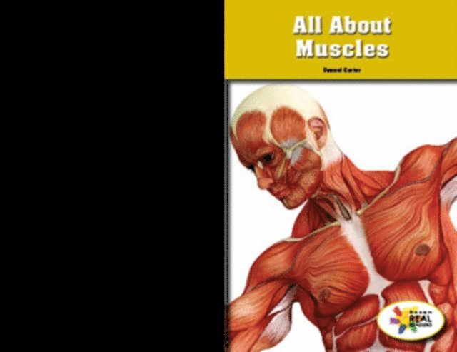 Jamie Holloway - All About Muscles, E-bok